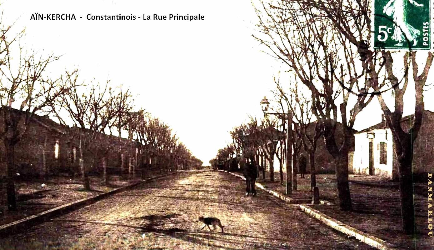 Ain-Kercha - Rue Principale.jpg